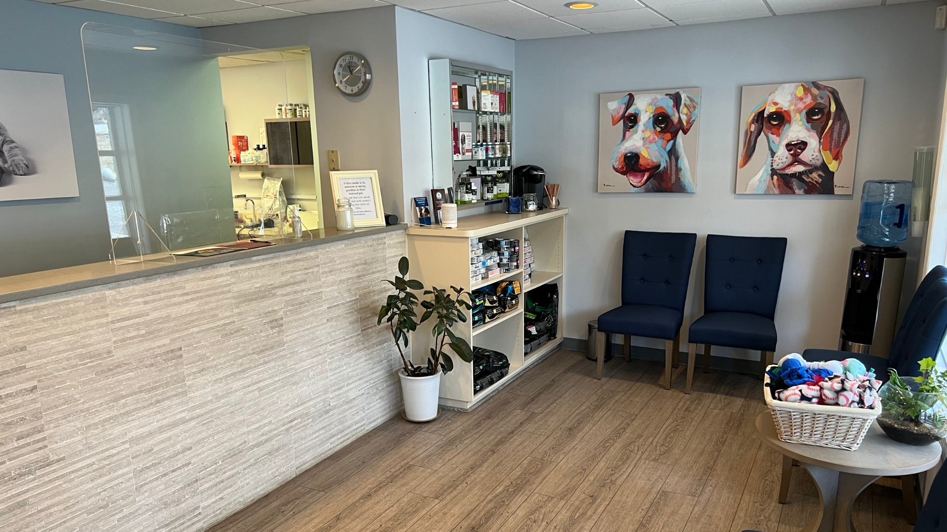 Best Vet In Lincolndale, NY Lincolndale Veterinary Center