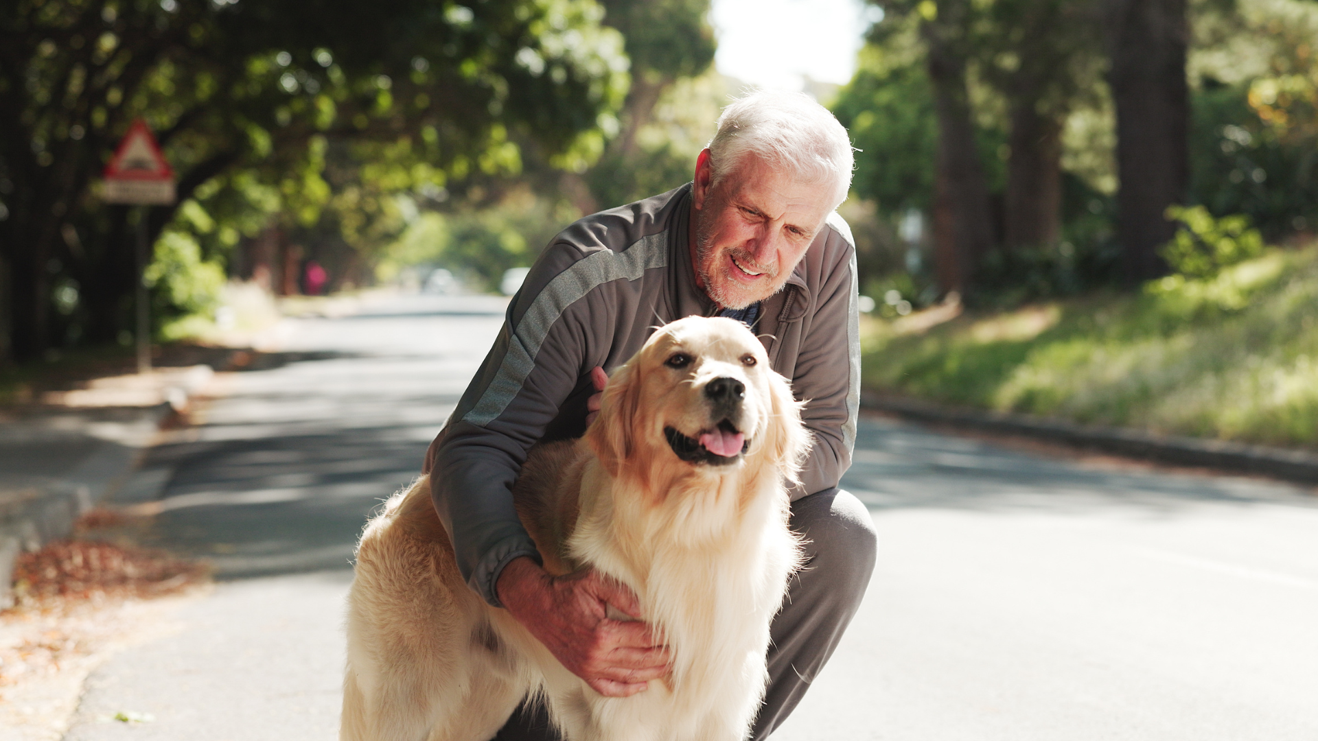 kitten laying on bed